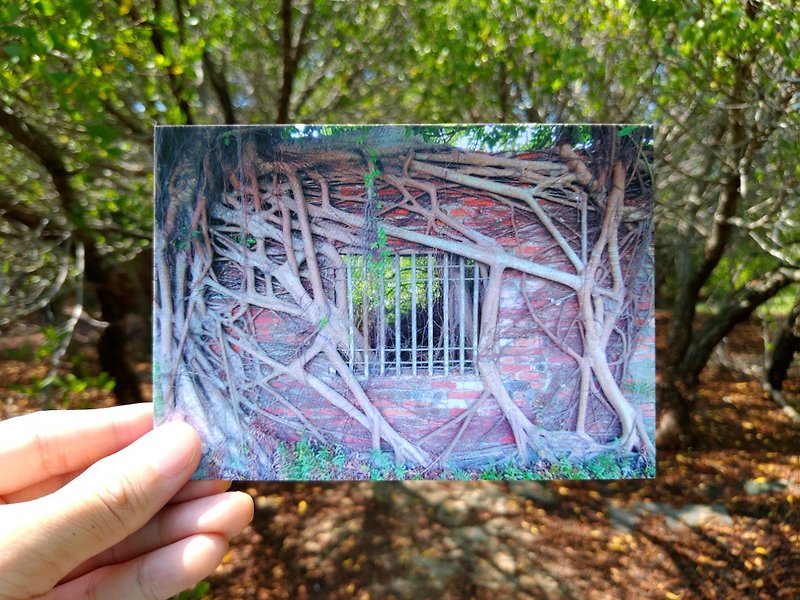 Ruins Postcard | Window Scene: Ancient House Next to Forest Pets - Cards & Postcards - Paper 