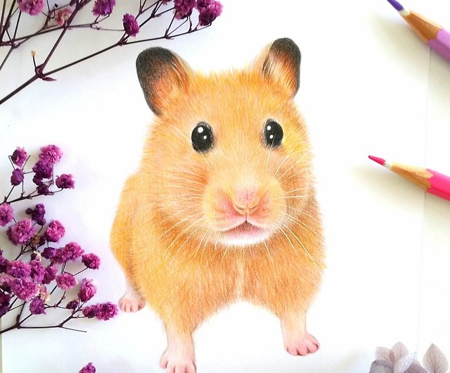 colored pencil drawings of animals