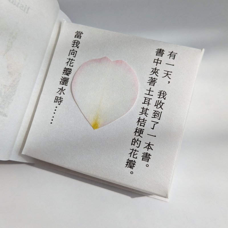 繫體字版　可融化書本禮物/耳環/土耳其桔梗/醫療級不鏽鋼316L - 耳環/耳夾/耳骨夾 - 塑膠 白色