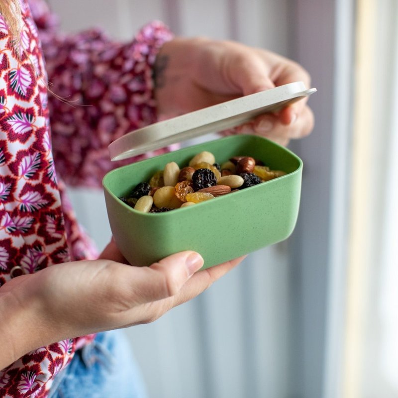 CANDY S LIQUID SAFE BOX - Lunch Boxes - Plastic Green