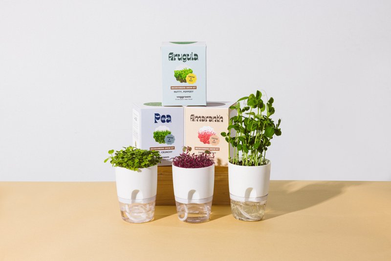 Reusable Microgreens Grow Cup x 3 Bundle Set - ตกแต่งต้นไม้ - พลาสติก ขาว