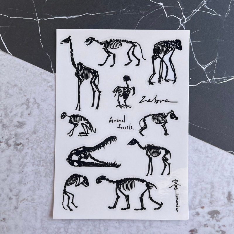 透明圖鑑貼紙-動物骨骼系列 - 貼紙 - 其他材質 