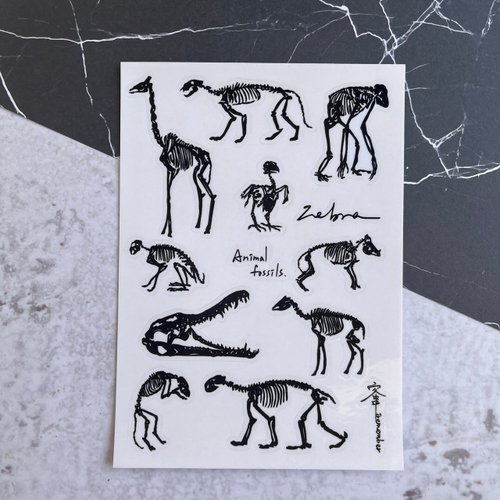 客串Iremember 透明圖鑑貼紙-動物骨骼系列