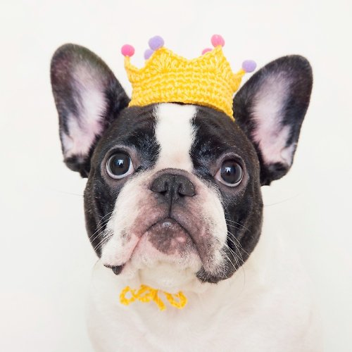 Chubby Rainbow 恰貝彩虹 童話小公主 寵物 狗狗 貓咪 手工編織訂製皇冠