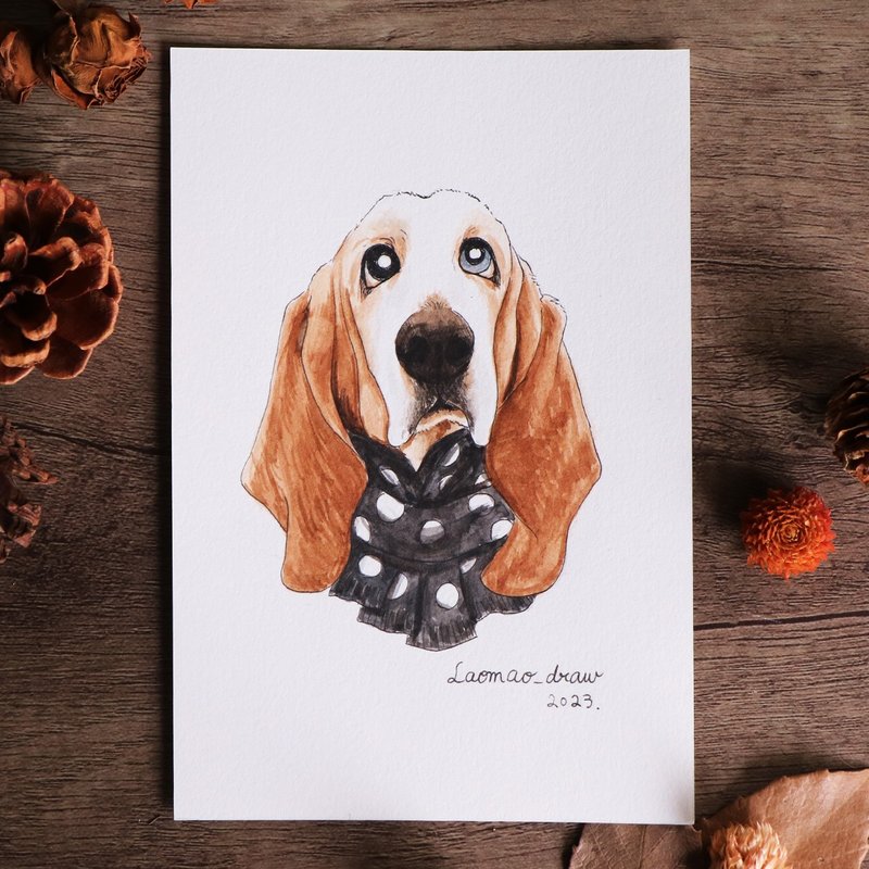 Watercolor illustration original dog head portrait 4X6 6 inches 1004 Basset scarf - โปสเตอร์ - กระดาษ 