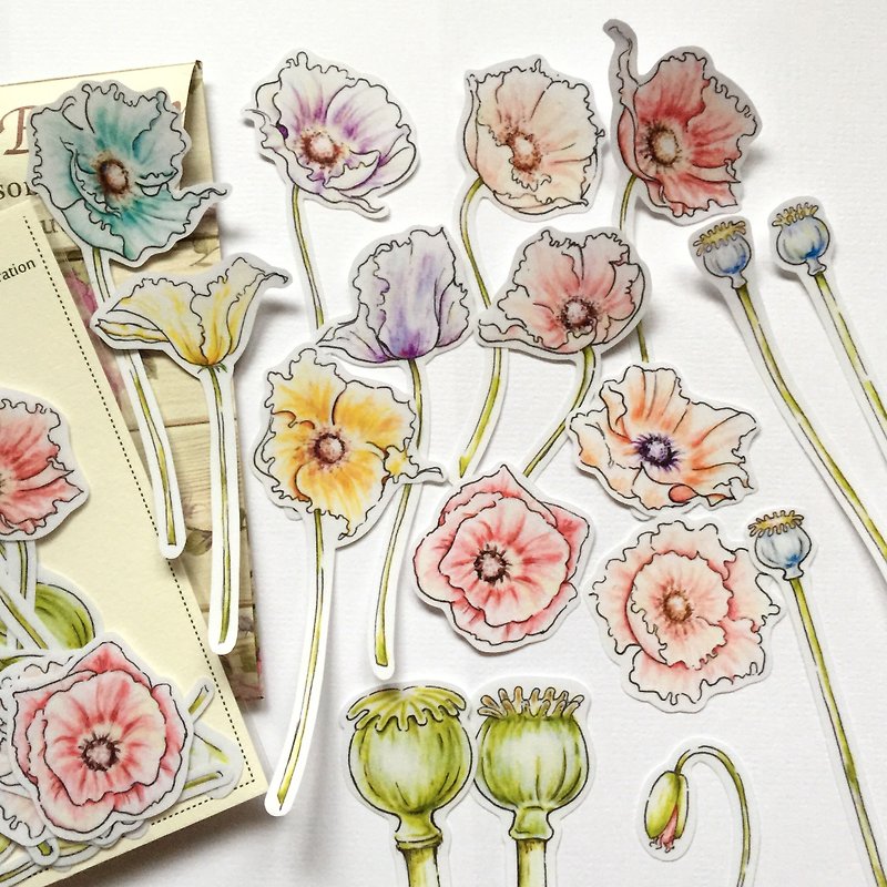 Hand-painted poppy / waterproof transparent stickers into 18 groups - Stickers - Paper Pink