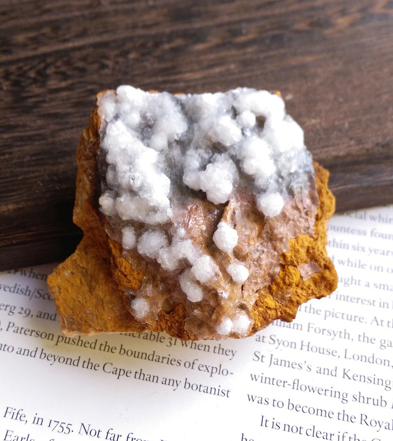 Selenite 湖北產地 透石膏花 天然礦石 原礦 - 擺飾/家飾品 - 其他材質 