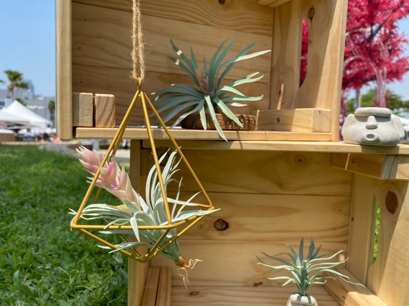 空氣鳳梨 仿真植物 黏土 - 擺飾/家飾品 - 黏土 
