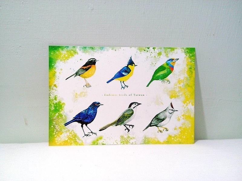 Taiwan unique bird/illustration/double-sided postcard postcard - Cards & Postcards - Paper Green