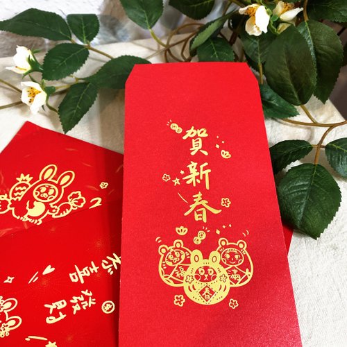 6Pcs Cartoon Creative Year Of The Cat Vietnamese Red Envelope Spring  Festival New Year's Bag - AliExpress