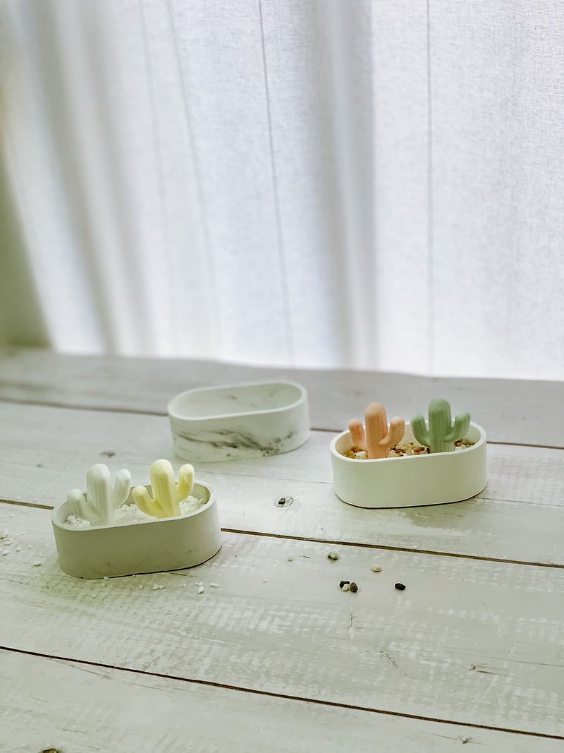 Other Materials Items for Display - Indoor Fragrance Shape Diffuser Stone-Healing Cactus + Oval Planter / Textured Storage Tray