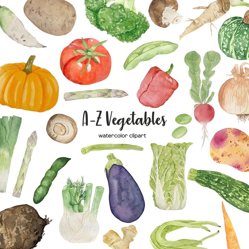 Watercolor vegetables clipart. A-Z veggies watercolor. Full alphabet vegetable - งานดีไซน์ดิจิทัลอื่นๆ - วัสดุอื่นๆ 