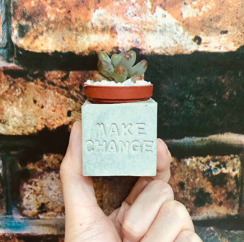 Make change Flip Life Succulent Magnet Potted Plant - Plants - Cement Multicolor