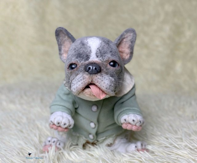 A fashion baby french bulldog