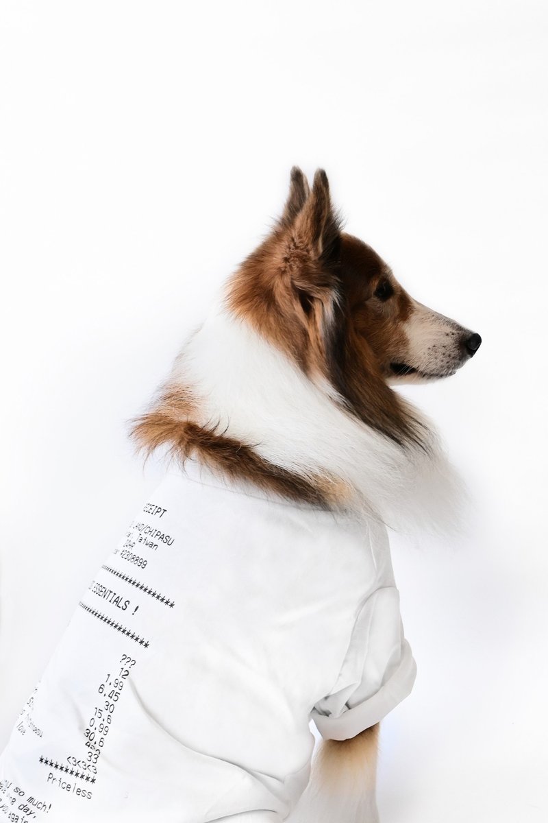 Receipt Tee Dog Kick-Receipt XL-3XL - ชุดสัตว์เลี้ยง - ผ้าฝ้าย/ผ้าลินิน 