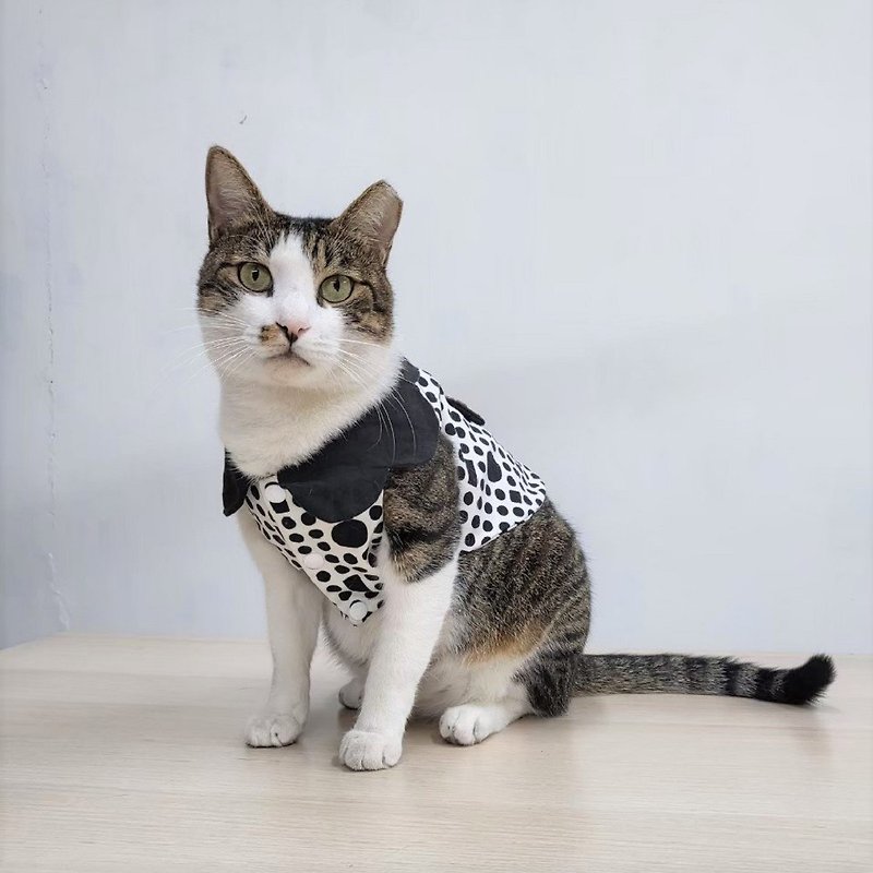 Hsinchu Handmade Experience Course — Modern Cat Clothes Cat Clothes Cat Clothes - เย็บปักถักร้อย/ใยขนแกะ/ผ้า - ผ้าฝ้าย/ผ้าลินิน 
