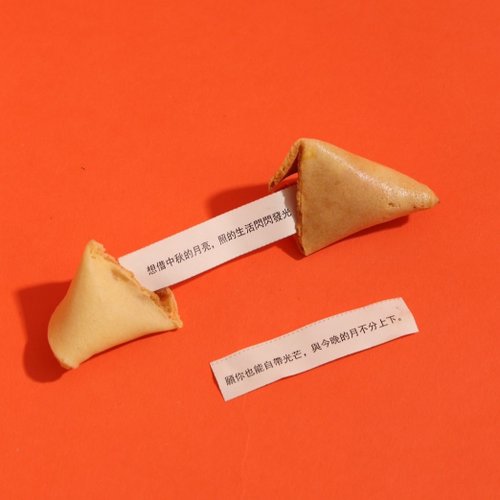 フォーチュンクッキー 500x0.jpg