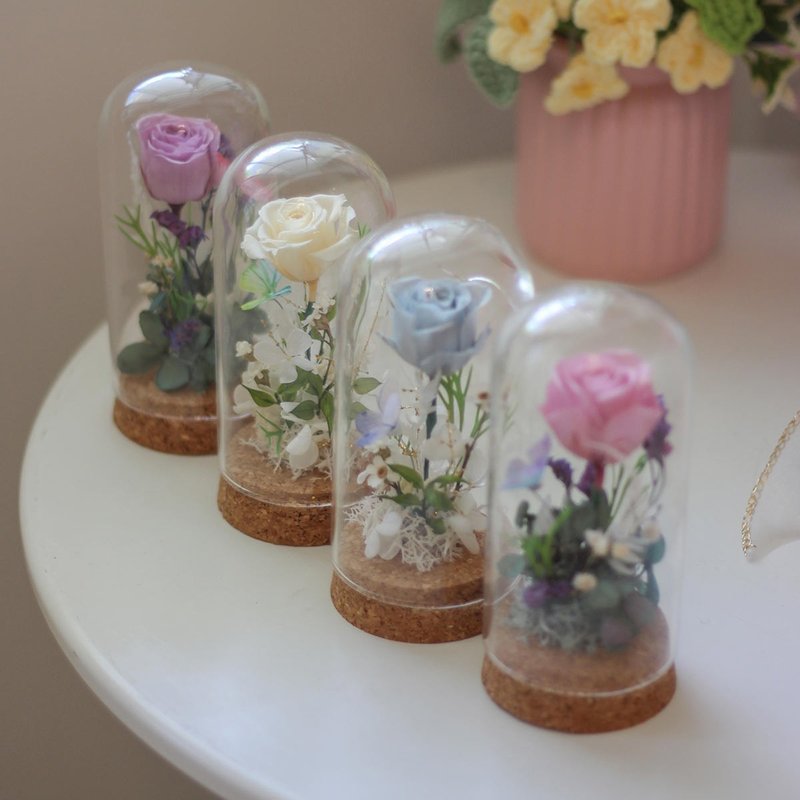 小王子玻璃罩 - 乾燥花/永生花 - 植物．花 多色