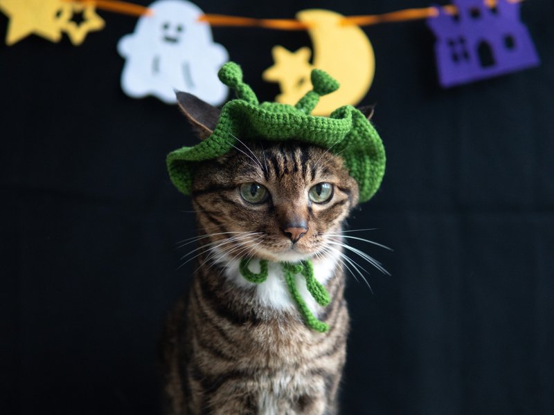 [Halloween Limited Series] Pet Bib Cat Sliga Alien Hat - Collars & Leashes - Wool Green