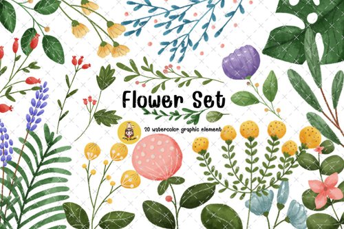 jiffystudio Flowers collection. plants, blooming flowers,Hand drawn clip art