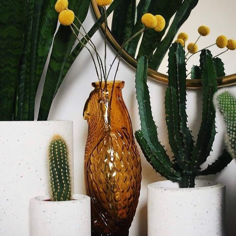 DOIY鸚鵡壺 - 花瓶/花器 - 玻璃 金色