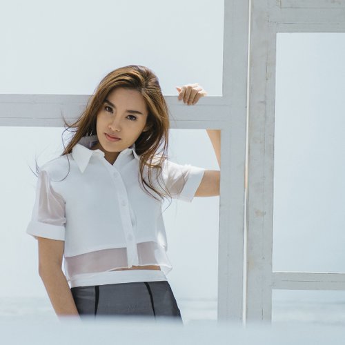 Thara 柔美網紗露肚短版上衣-白煙色