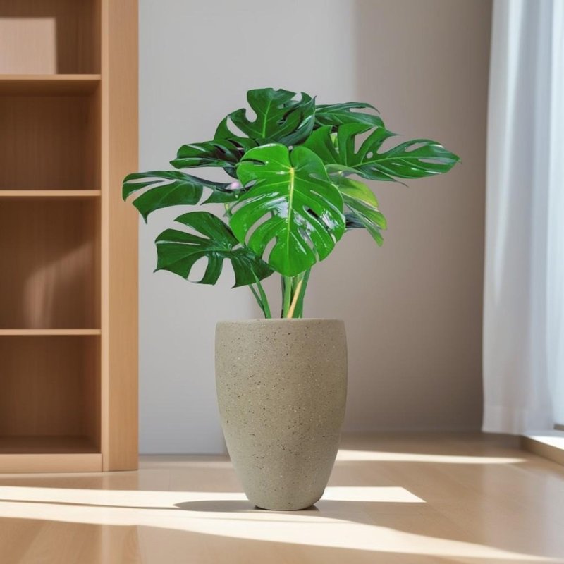 Turtle taro Cement potted plant latte Brown terrazzo flower pot floor-standing potted plant large potted plant opening gift - ตกแต่งต้นไม้ - พืช/ดอกไม้ 