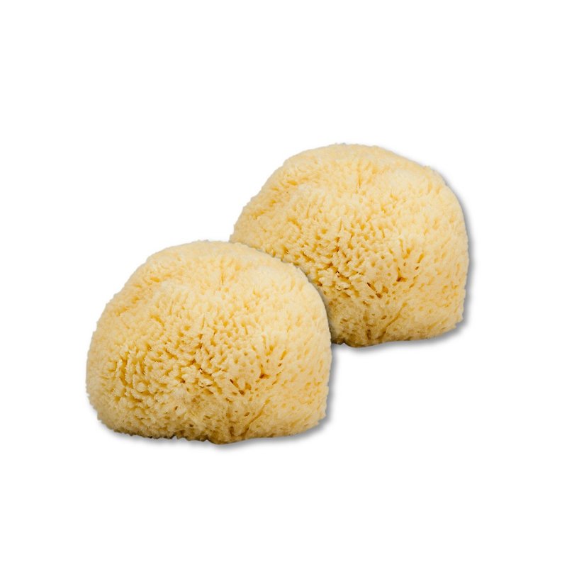 2 pieces of 12% off-Greek natural facial sponge-just the right amount - Other - Plants & Flowers Yellow