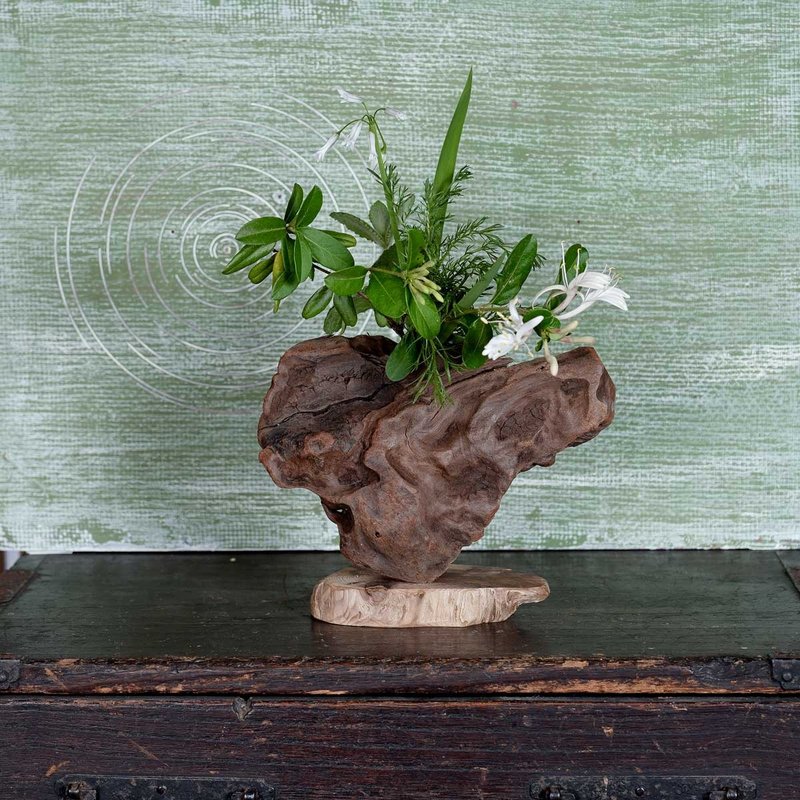 何不使用您最喜歡的時令花痴來裝飾您的空間並營造愉快的氛圍呢？浮木花瓶，木製花瓶，花瓶，小花瓶，98 - 花瓶/花器 - 木頭 咖啡色