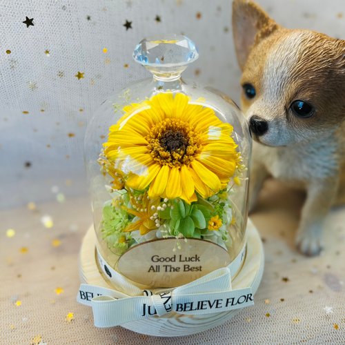 Just Believe Florist 畢業禮物 永生花向日葵鑽石頂玻璃罩 謝師 客製文字木牌