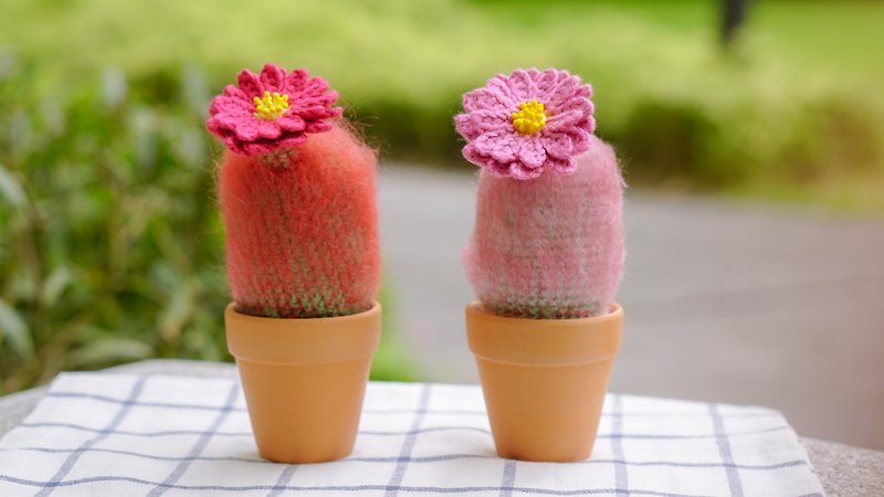 Rain bow handmade crochet cactus  in terracotta pot - Plants - Cotton & Hemp Pink