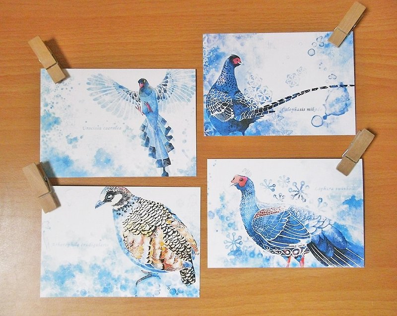Bird of Taiwan endemic species / single-sided postcard postcard - Cards & Postcards - Paper 