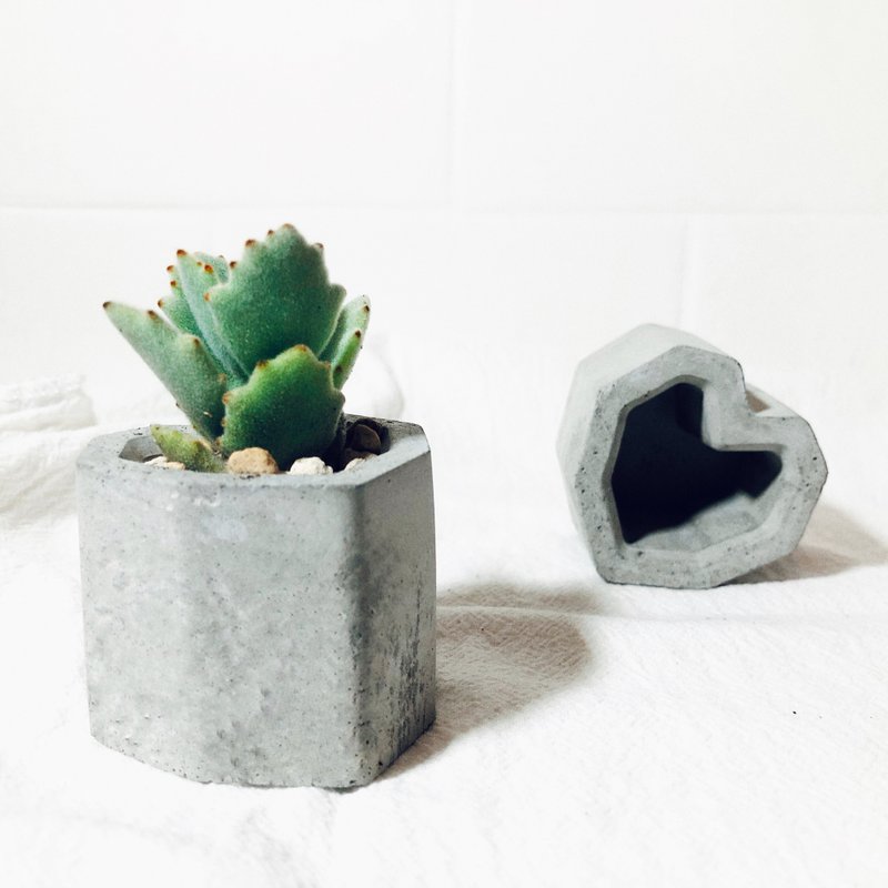 [Christmas Gift] Pure Series-Heart-Shaped Mud Pot/Industrial Gray - Plants - Cement Gray