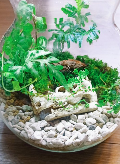 太陽療癒工作坊 【苔療癒】動物遺骸-意象生態瓶DIY材料包