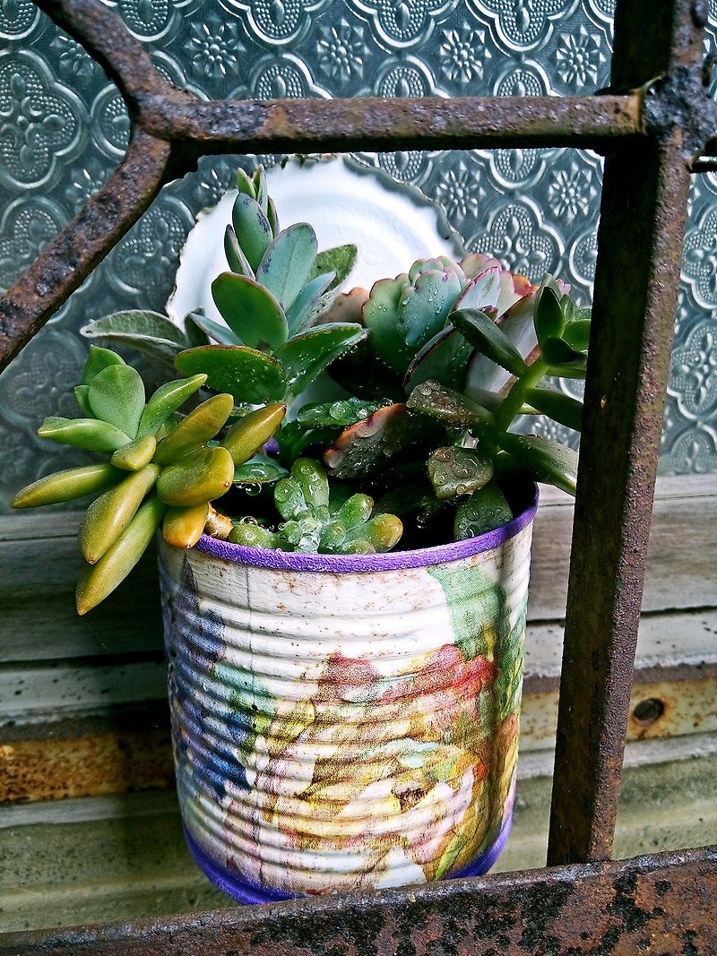 Butterfly Guba collage Succulents combination / window grille - Plants - Plants & Flowers Multicolor