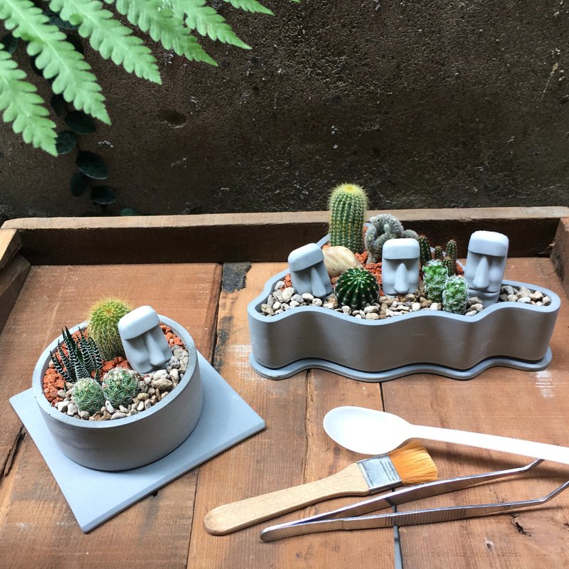 【摩艾控專屬DIY】摩艾綠意花園+摩艾島嶼+工具 仙人掌造景盆栽 - 盆栽/植栽 - 水泥 灰色