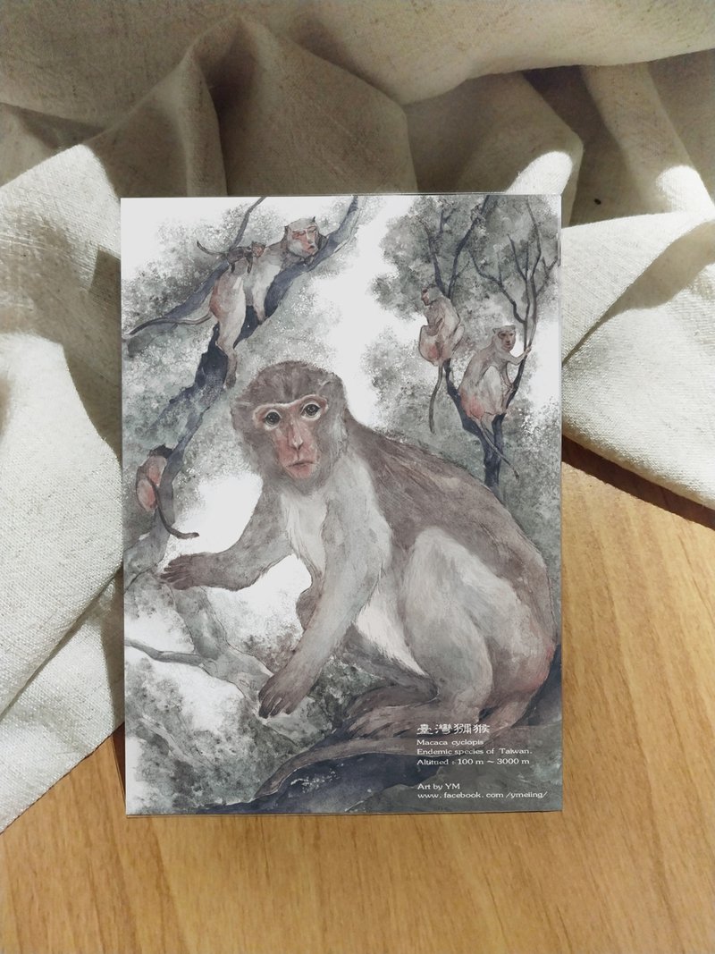 Macaque-Taiwan’s Endemic Animal Series-Endemic Species Taiwan Postcard - Cards & Postcards - Paper 