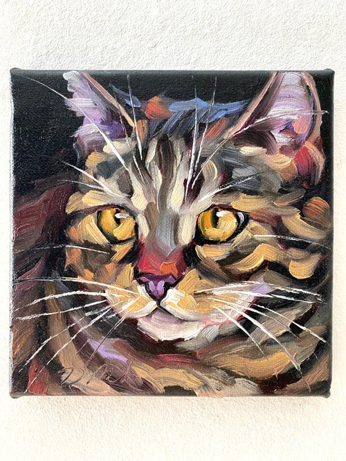 キャンバス油絵 　専用　立ち上がって 外を見ている子猫 500x0.jpg
