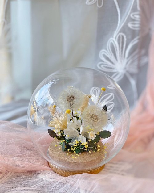 Chance巧遇花藝 蒲公英玻璃罩魔法球 永生花 可客製