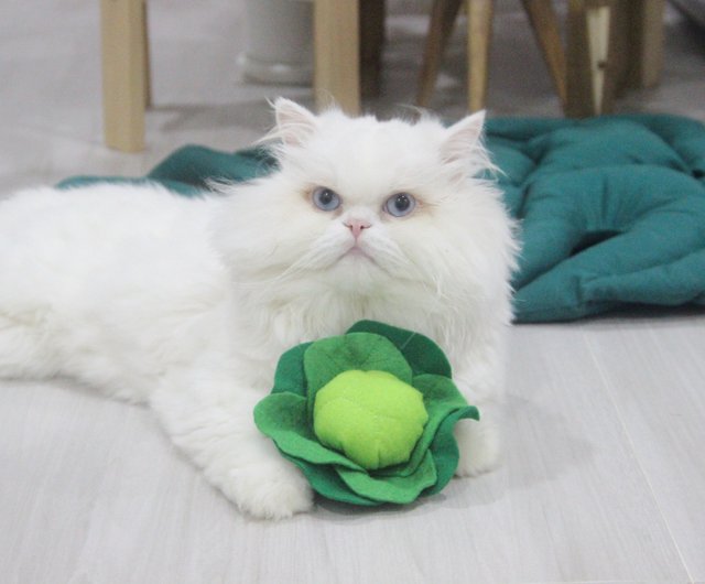 vegetable cat toys