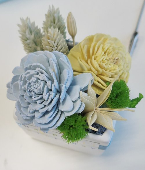 Kinki 手作Studio 法式香頌11號盆花 結婚花束情人節求婚告白畢業謝師禮物生日畢業
