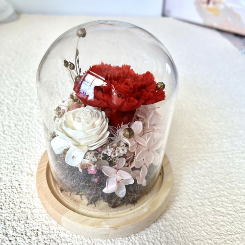 BFC極奢花藝 &沐inbloom 玻璃康乃馨 康乃馨玻璃盅永生花玻璃罩永生康乃馨 5日內出貨