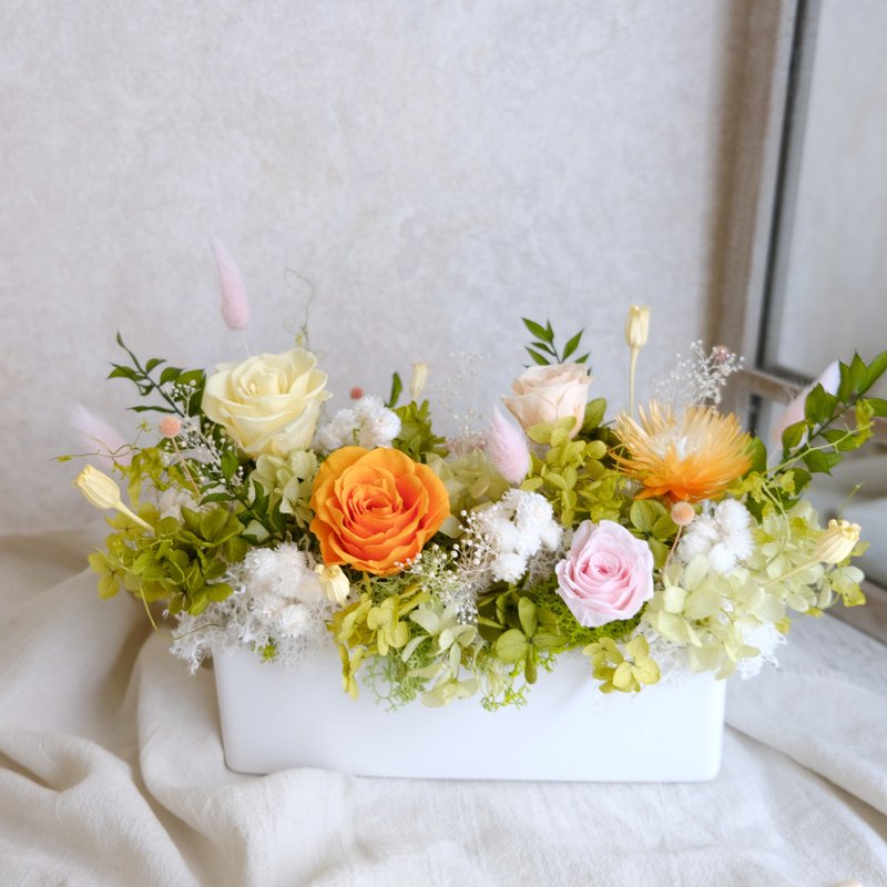 [Eternal Flower Potted Flower] Eternal Flower/Opening Potted Plant/Orange/Green/Yellow/He Shengqian - ตกแต่งต้นไม้ - พืช/ดอกไม้ สีส้ม