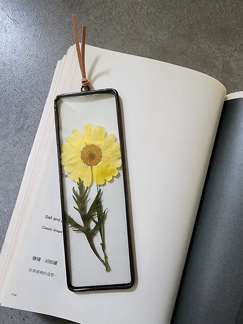 Illustrated Book of Flowers and Plants∣Yellow Margaret∣5X15CM - ตกแต่งต้นไม้ - พืช/ดอกไม้ ขาว