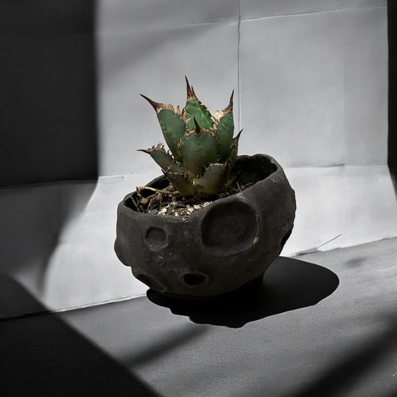 【 カク製陶  】登上月球盆 月夜黑 盆器 花盆 花器 花瓶 塊根 - 盆栽/植栽 - 陶 黑色