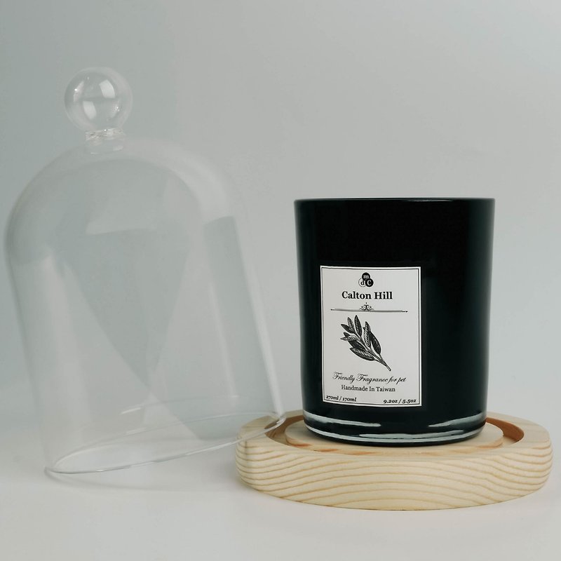 Pet-friendly scented candle-Calton Hill (fresh wood tone) - Candles & Candle Holders - Glass Multicolor