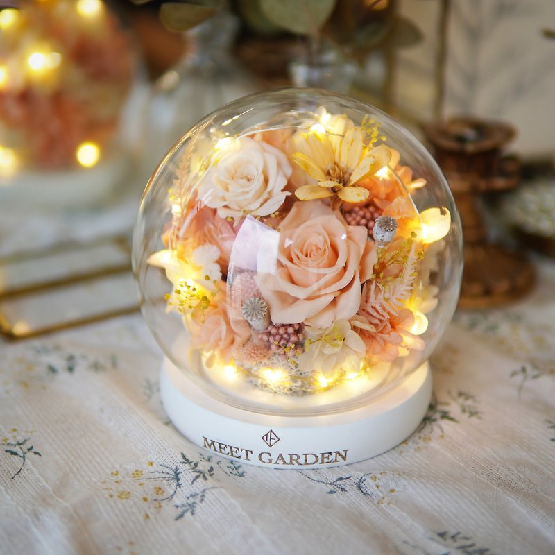 Champagne Rose Preserved Flower LED Crystal Ball - Items for Display - Glass Pink