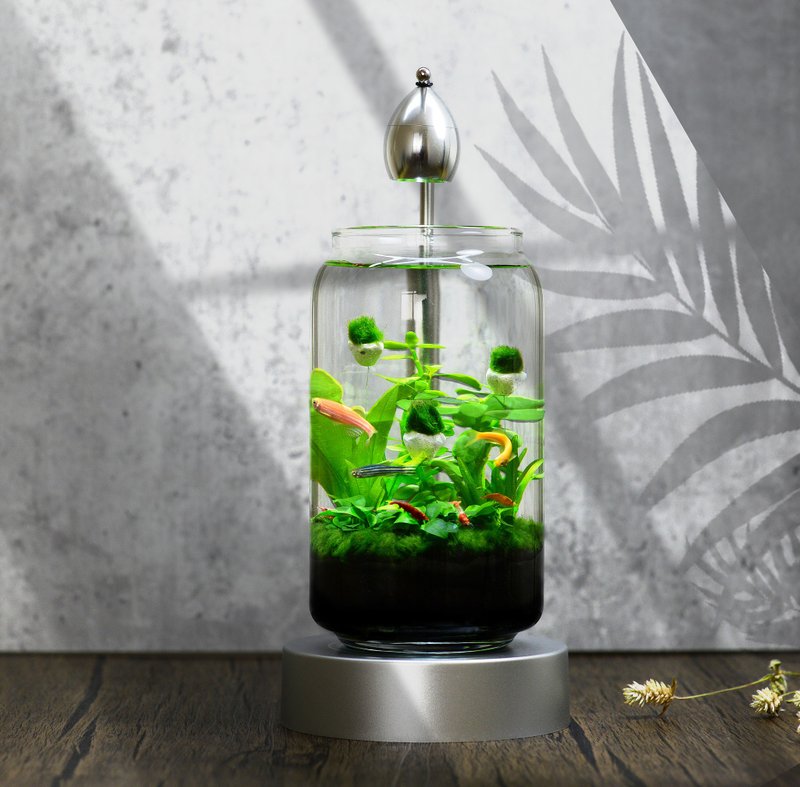 [Free Shipping] Building Blocks Impression Live Aquatic Plants Ecological Relief Fish Tank Ecological Bottle [Sky Stone] - Other - Glass Silver