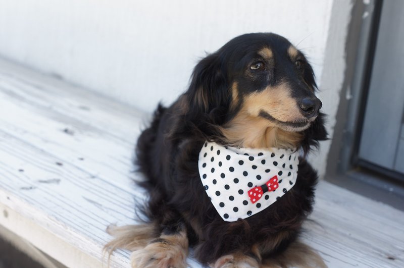 Pet shape triangle scarf for cats and dogs Polka dot S-5L fast shipping - Collars & Leashes - Cotton & Hemp Red