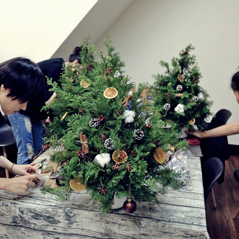 December [Winter Solstice Yule Spice Christmas Tree] Make blessed Christmas tree-double discount - จัดดอกไม้/ต้นไม้ - พืช/ดอกไม้ 